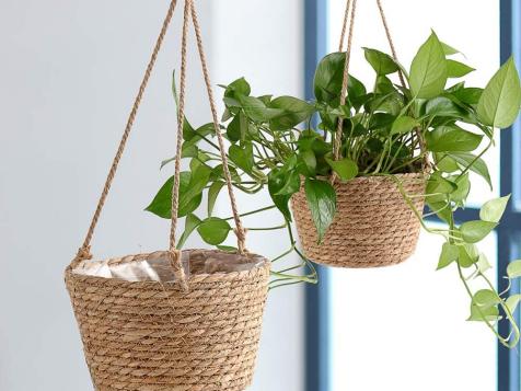 15 Best Indoor and Outdoor Hanging Planters