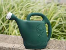 Hydrate your plant babies and keep them blooming with a top-rated watering can perfect for your home and needs.