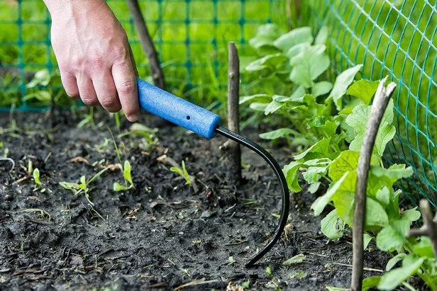 8 Best Weeding Tools 2025 Reviewed HGTV