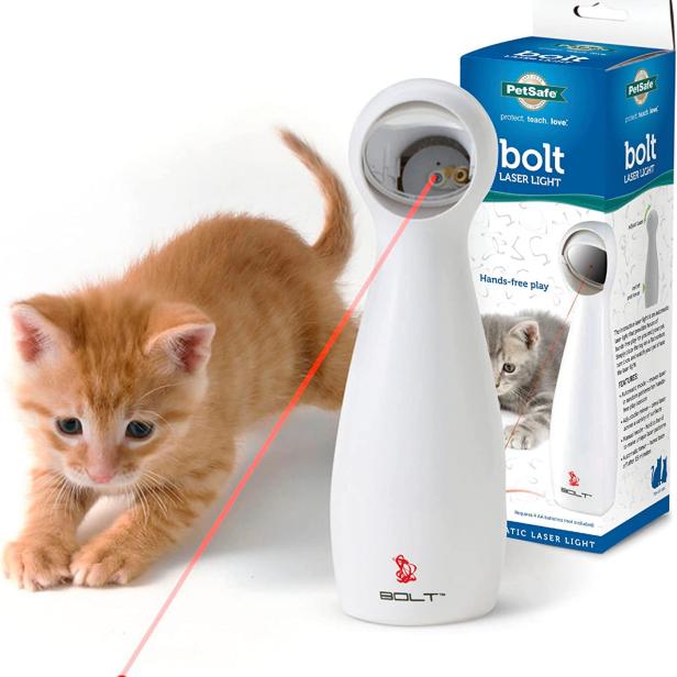 The 10 Best Kicker Toys for Cats of 2024, Tested and Reviewed