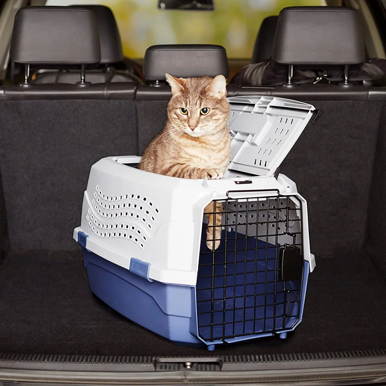 12 Best Cat Carriers of 2023 HGTV Top Picks HGTV