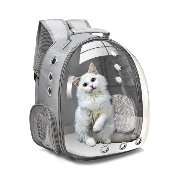 best car travel cat carrier