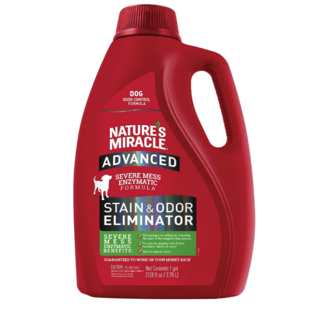 5 Best Carpet Stain Removers 2024 Reviewed HGTV