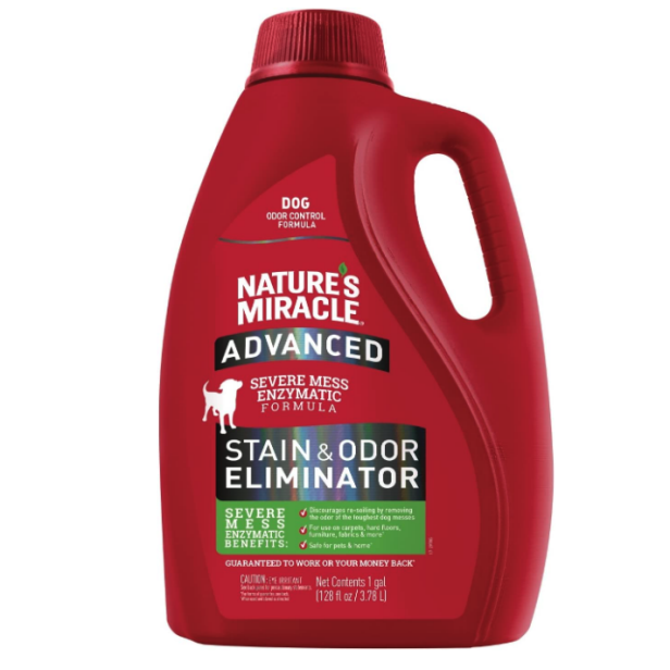 5 Best Carpet Stain Removers 2024 Reviewed Hgtv