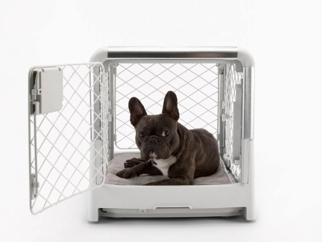 Pet world dog crates online