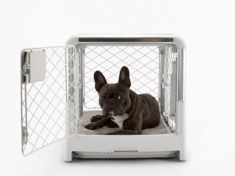 The Best Dog Crates of 2023