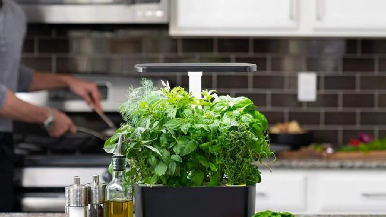 10 Best Indoor Herb Garden Kits 2024 | HGTV