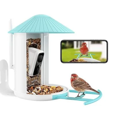 The Best Camera Bird Feeder for Backyard Birdwatching 2025