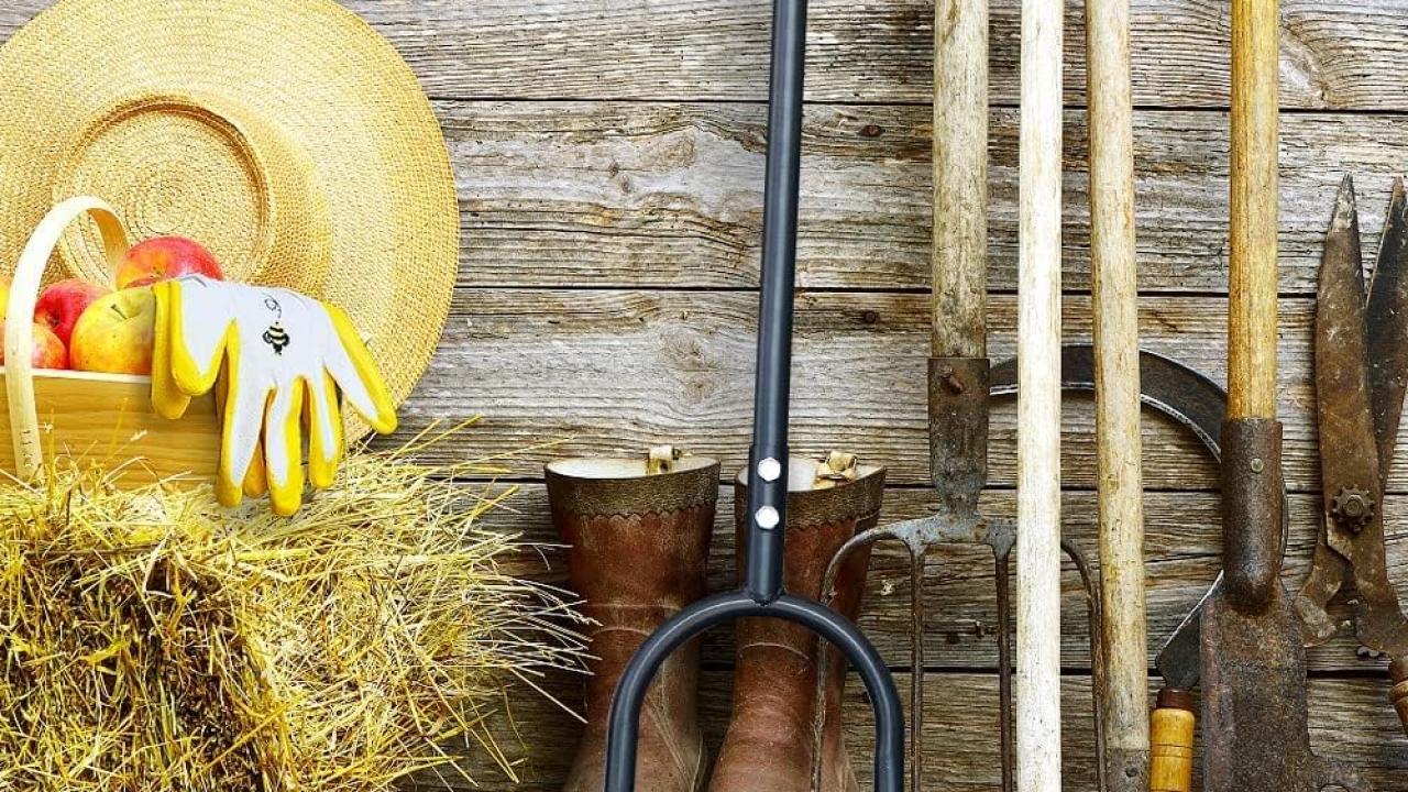 The 8 Best Lawn Aerators in 2023 HGTV Top Picks HGTV