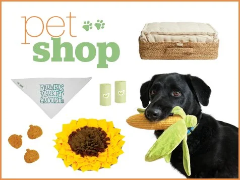 Dog farmers market top