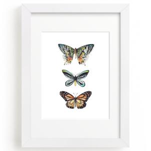 Butterfly Colorful Watercolors