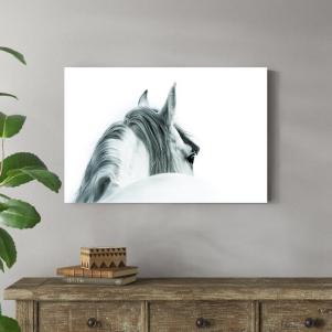 Black And White Horse - Canvas Photograph