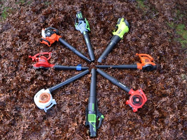 6 Best Leaf Blowers of 2024 Reviewed HGTV