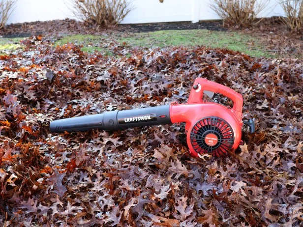 6 Best Leaf Blowers of 2024 Reviewed HGTV