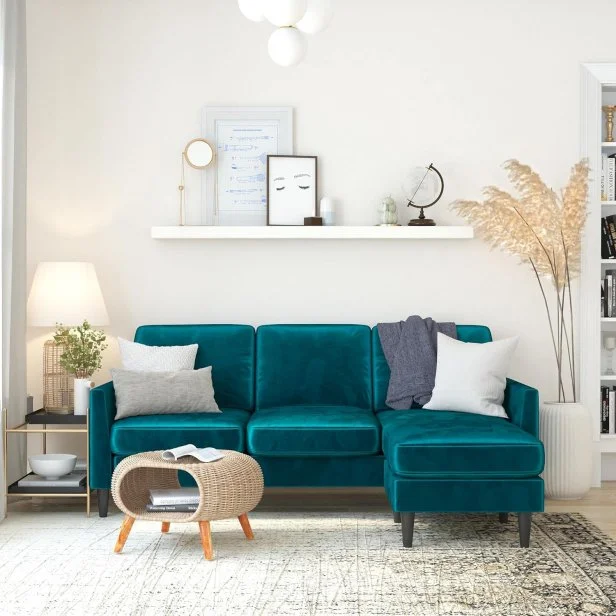 Best kind of couch for dogs best sale