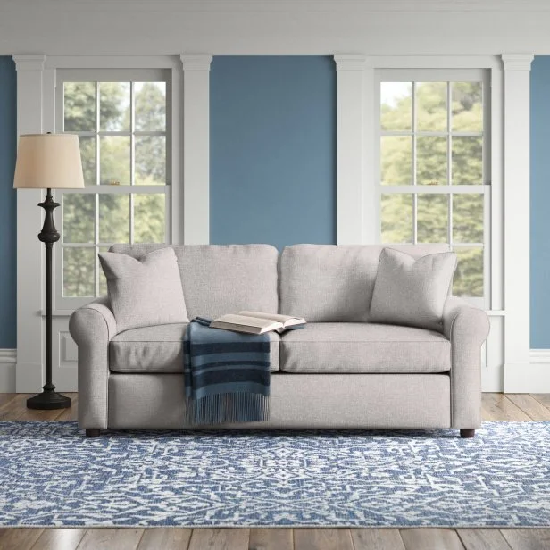 14 Pet Friendly Couches in 2024 Best Couches for Dog and Cat Owners HGTV