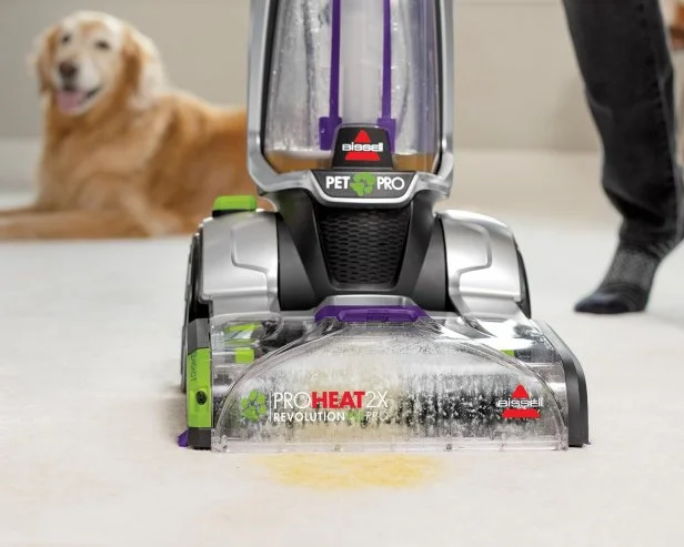 Best carpet steam cleaner for pet urine outlet
