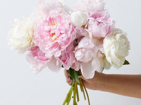 The Best Flower and Plant Services That Ship Quickly