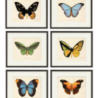 Antique Butterfly Art Print Set