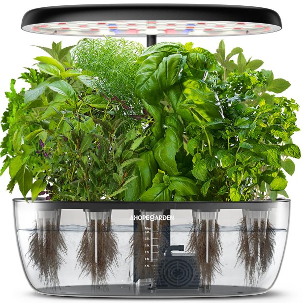 10 Best Indoor Herb Garden Kits 2024 HGTV