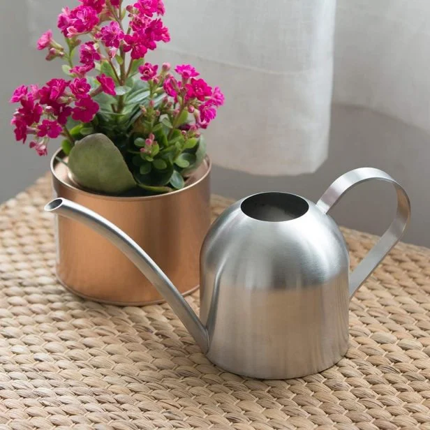 8 Best Watering Cans 2025 Reviewed