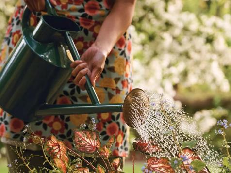 8 Best Watering Cans of 2024, Tested and Reviewed