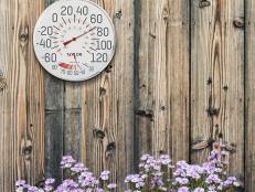 Our comprehensive guide helps you find the best outdoor thermometer to monitor the weather with accuracy at every price point.