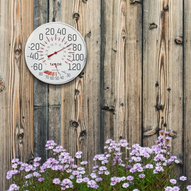 Best outdoor indoor thermometer sale