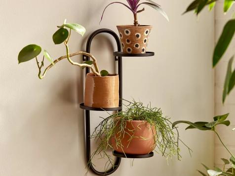 The Best Plant Stands for Indoor Plants