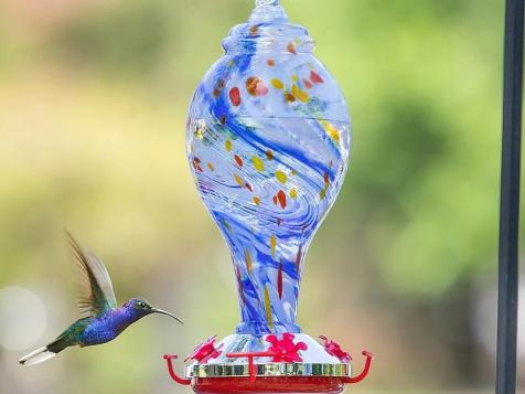 The Best Birding Accessories for Your Yard, According to a Former Bird Magazine Editor