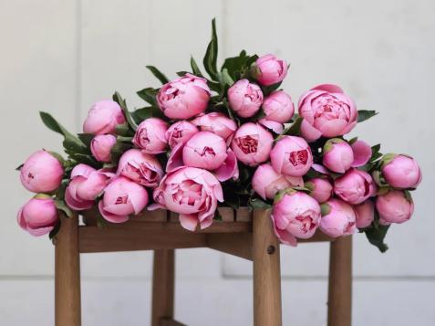 The Best Flower and Plant Services That Ship Quickly