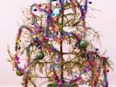 Dry Christmas tree