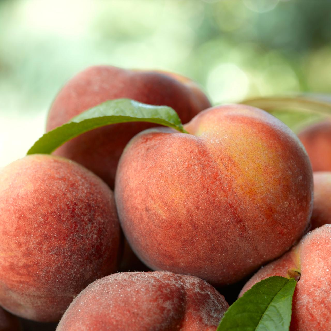 Fresh vs. Frozen Peaches: When to Use Each Type