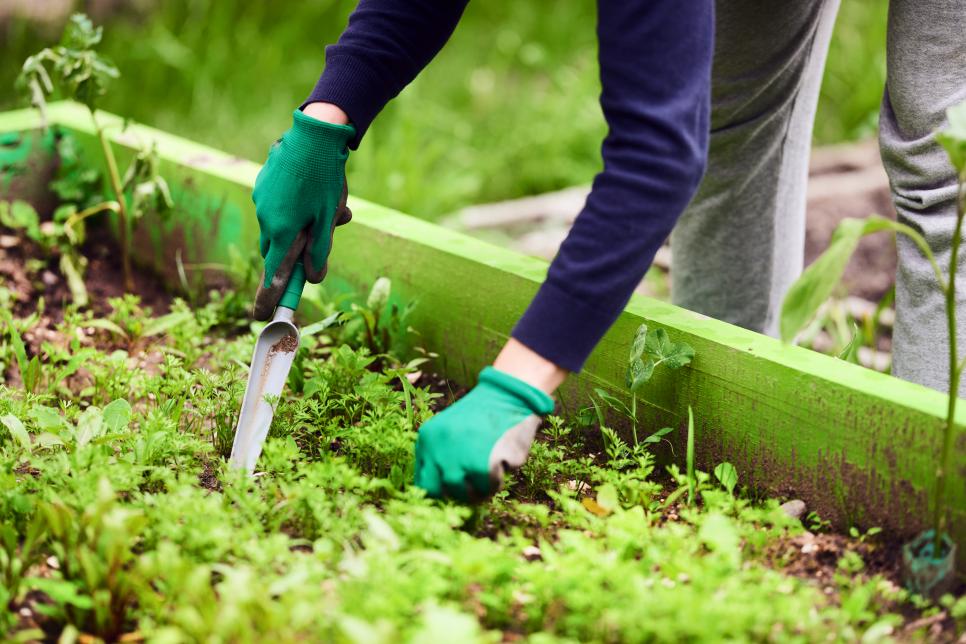 16 Ways To Use Vinegar In Your Garden Hgtv