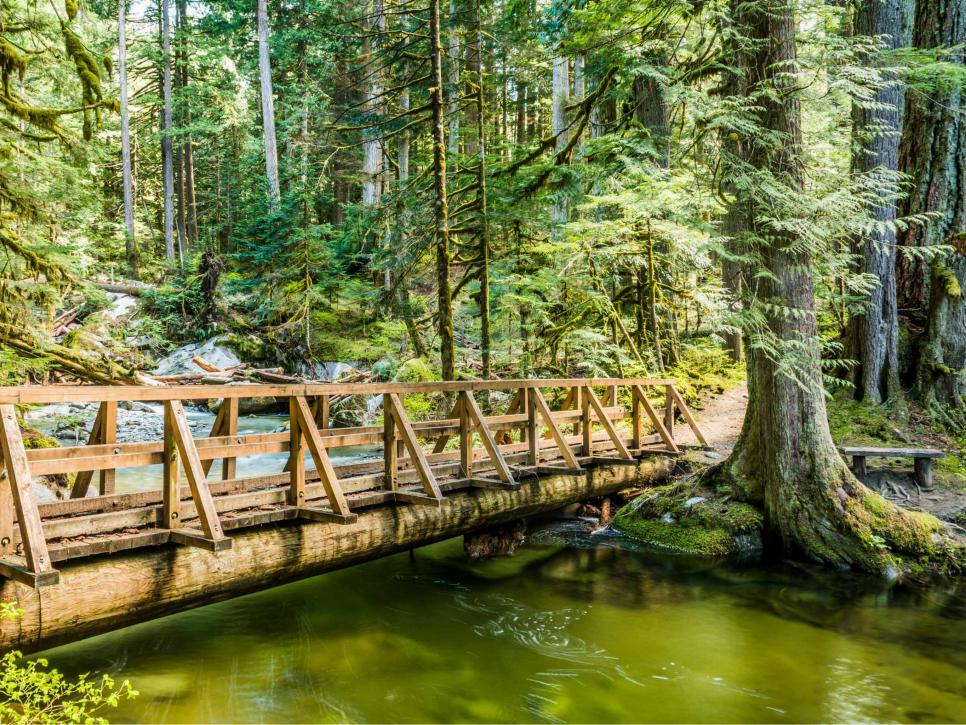 Mount Baker-Snoqualmie National Forest