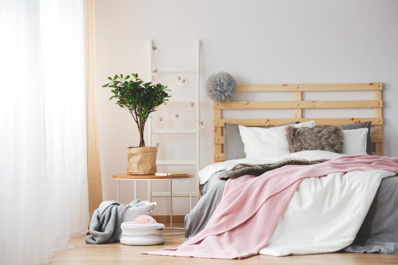 Cozy creative bedroom design with plant ad grey and pink accessories
