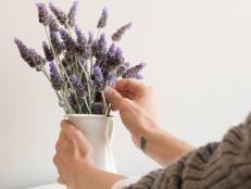 Cropped view of woman's hands arranging lavender in small white jug (selective focus)