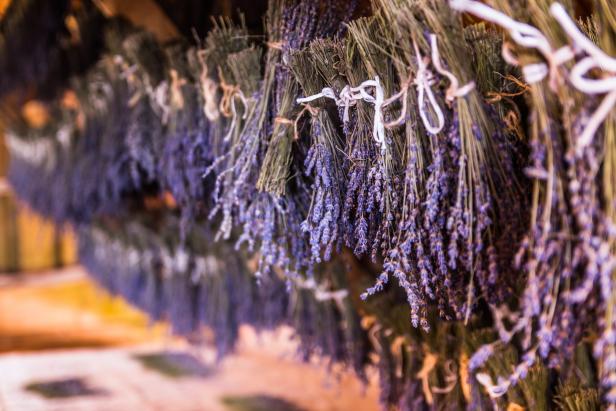 Lavender is bundled together and hung upside-down to dry.