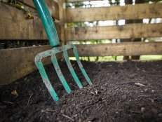 Soil Created From Composting