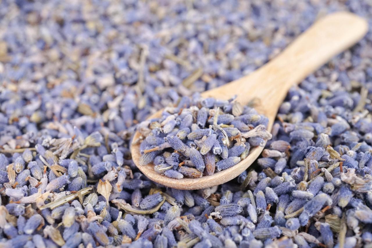 To When Seeds Plant Lavender