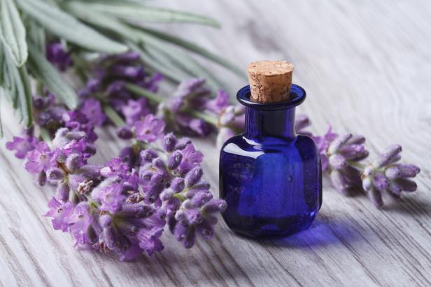 Lavender and Oil