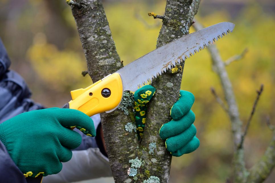 Garden Tools: Top Care Tips for Winter | HGTV