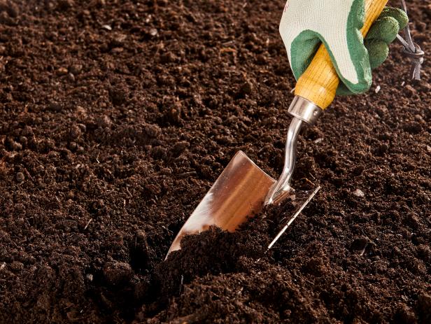 Can You Mix Potting Soil With Garden Soil Hgtv