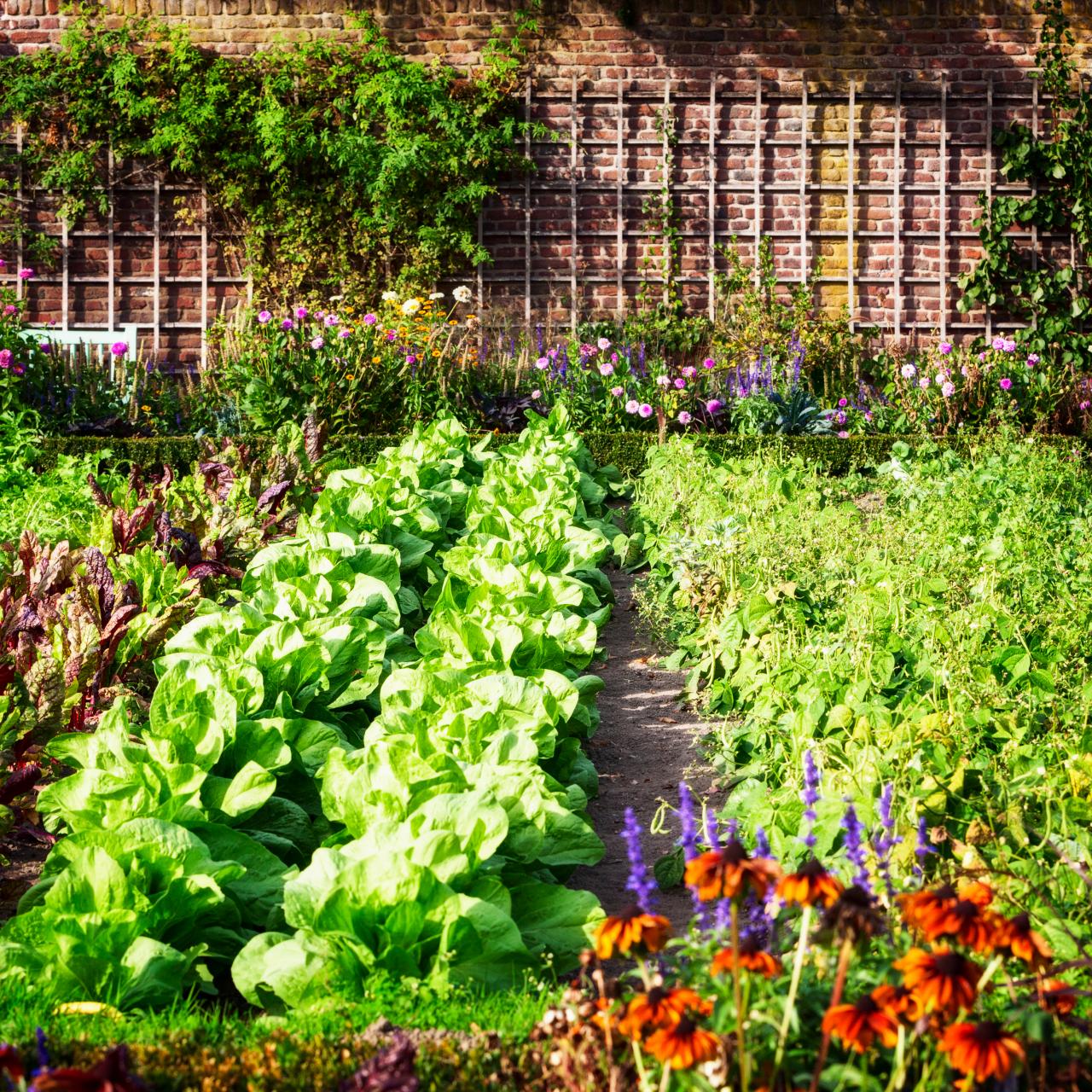 vegetable garden design unique