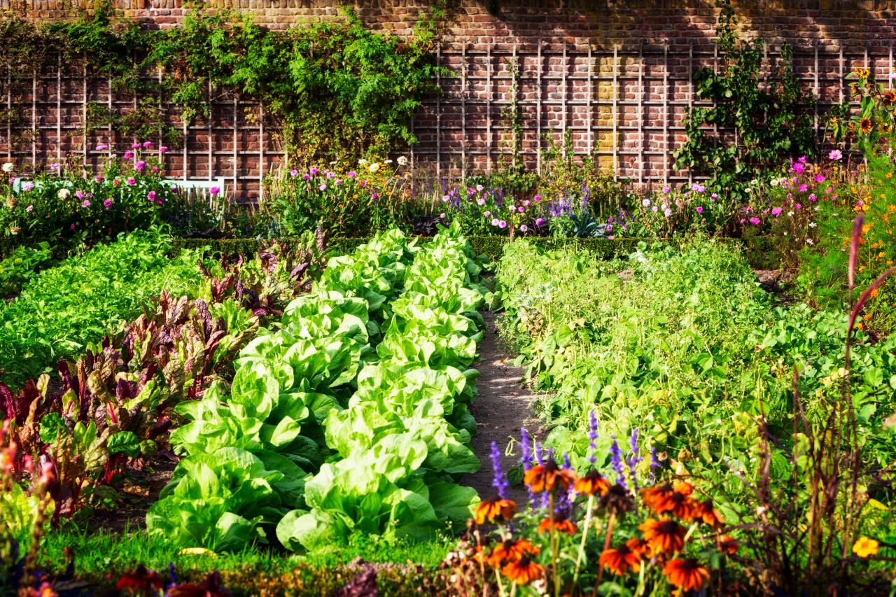 Vegetable Garden Design Ideas | HGTV