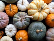 Pumpkins and squashes can be left on the vine during the fall to reach their maximum size and develop brightly colored skins. Once cured in the sun for 10 days, they can be stored in a dry, well ventilated, frost free place.