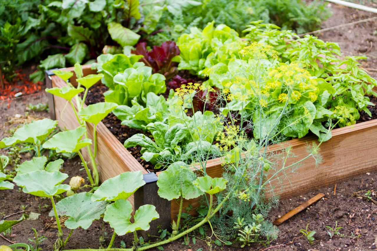 10 Ways to Go Green in Your Garden for Earth Day | HGTV