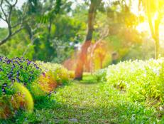 Assess Your Garden for Sunlight Exposure