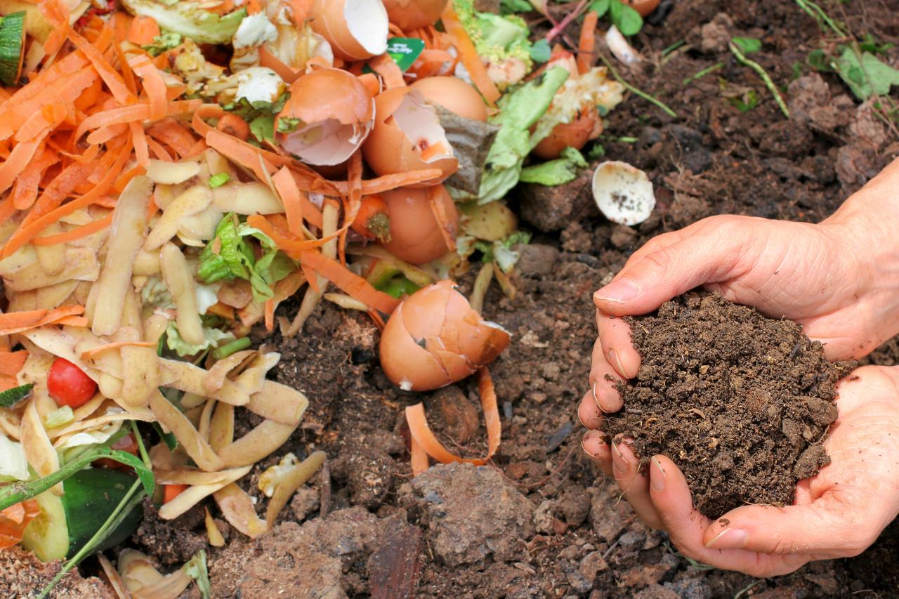 Organic Fertilizer Keeps Your Garden Healthy | HGTV