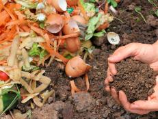 Organic Fertilizer From Compost